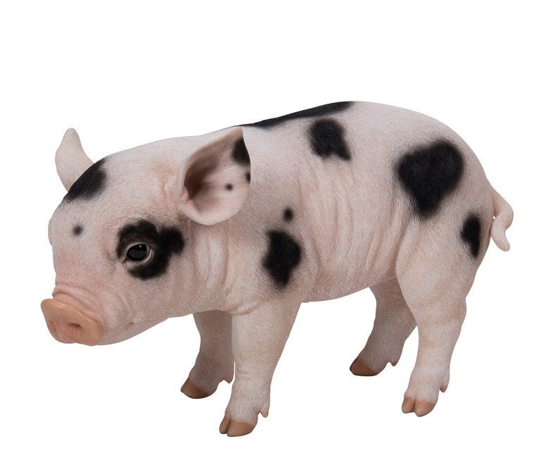 HiLine Gift Ltd. Standing Baby Pig Statue & Reviews Wayfair